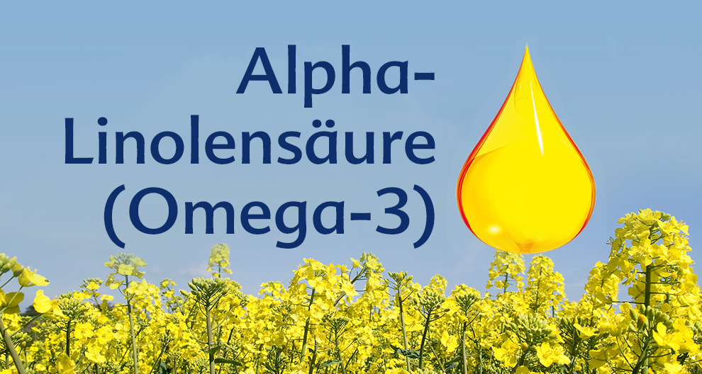 Ein Feld mit gelben Blumen und einem großen Öltropfen, der den Gehalt an Alpha-Linolensäure (Omega-3) symbolisiert.